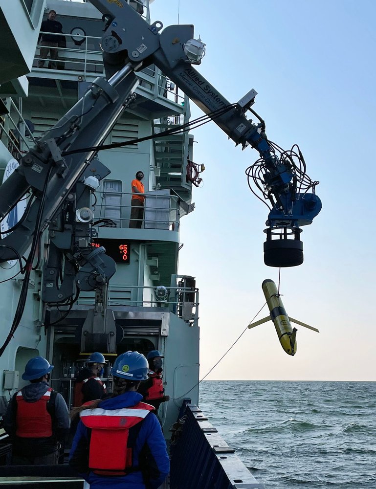 North Sea heatwave reveals marine monitoring blind spot