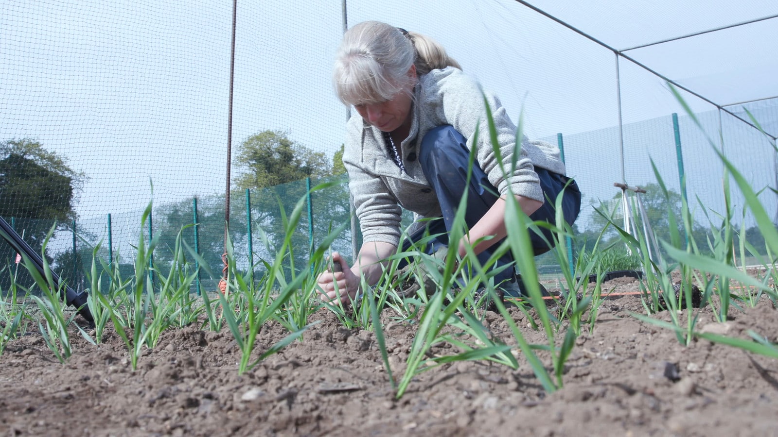 £750,000 award supports next-generation plant research facilities